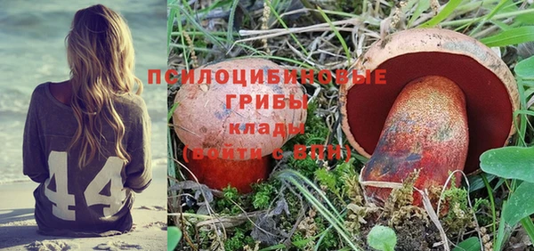 мяу мяу мука Абаза