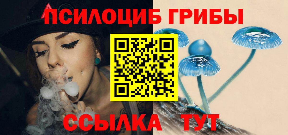 Псилоцибиновые грибы Psilocybe  Псилоцибиновые грибы Psilocybine cubensis  наркотики  Вход с VPN  Лангепас 